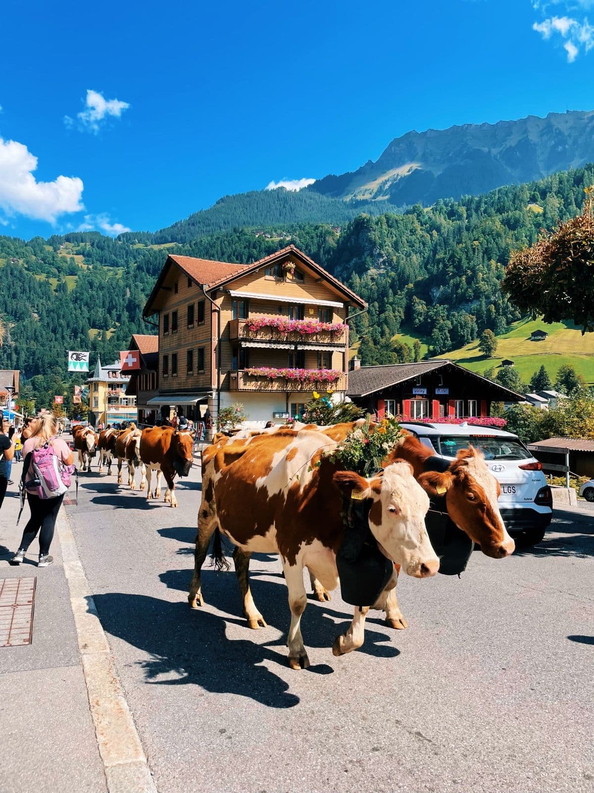 Thun • Interlaken • Iseltwald • Sigriswil Bridge • Lauterbrunnen Day Trip