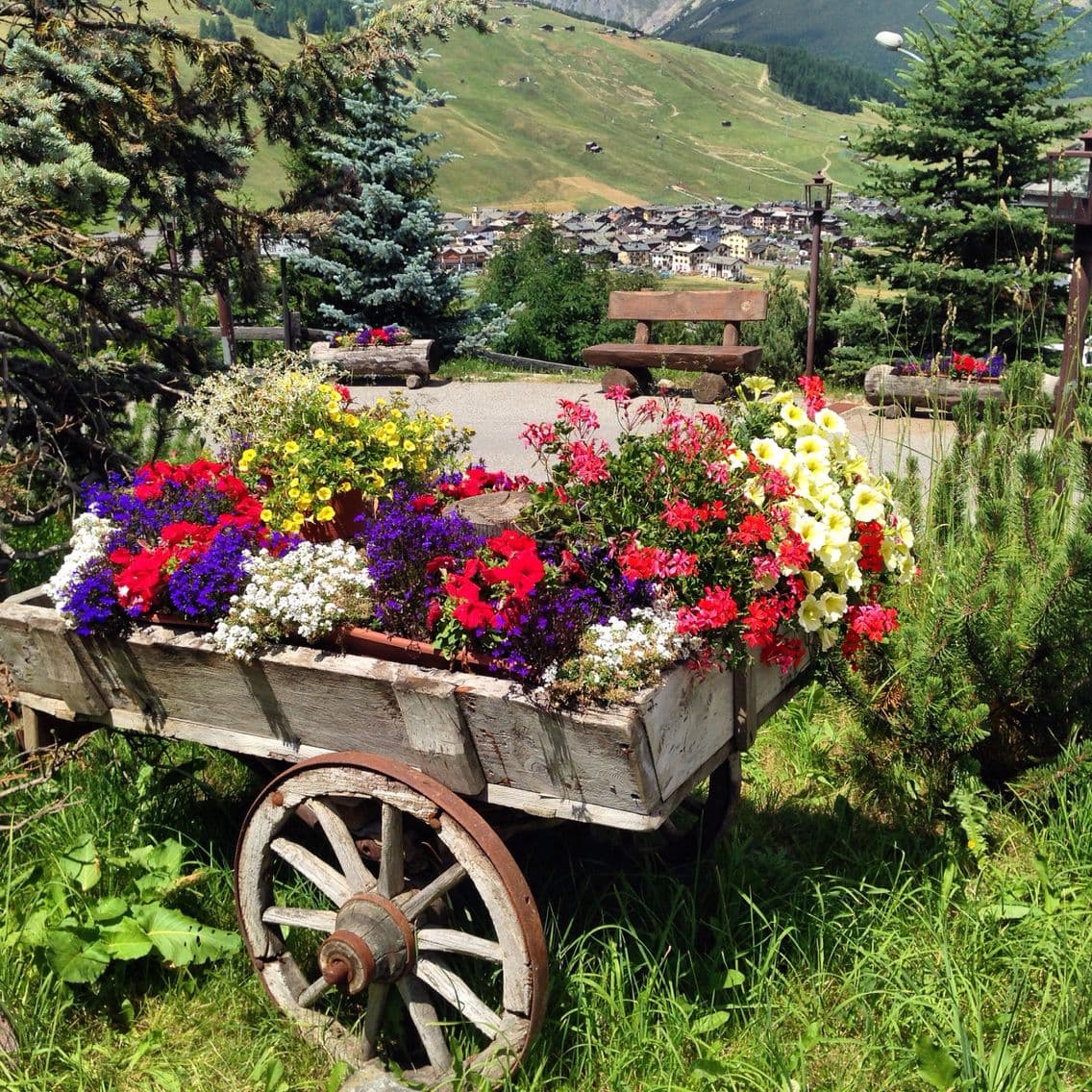 Livigno one day